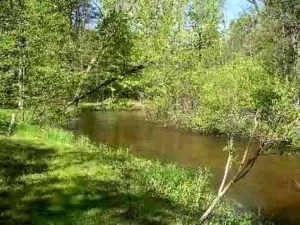 little manistee river